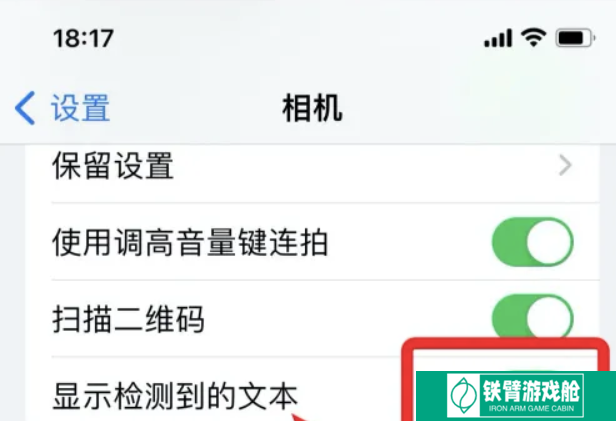 苹果提取文字功能怎么用