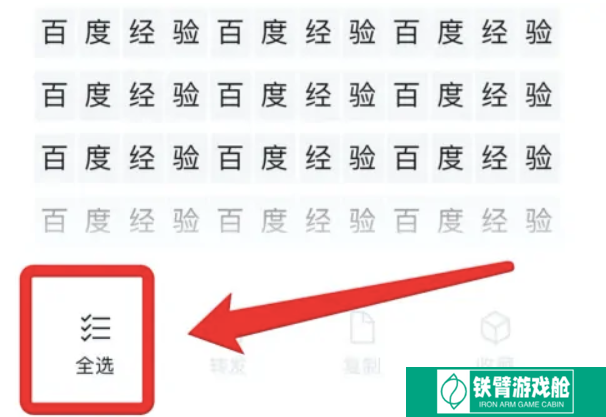 苹果提取文字功能怎么用